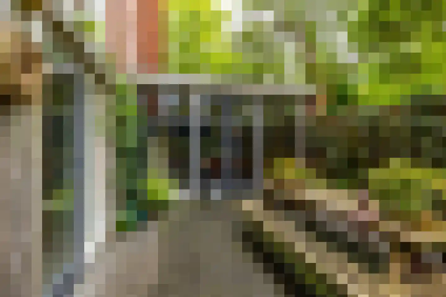 Tuinbouwdwarsstraat 11 c Groningen thumbnail 20