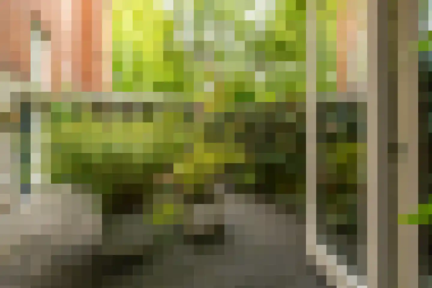Tuinbouwdwarsstraat 11 c Groningen thumbnail 22