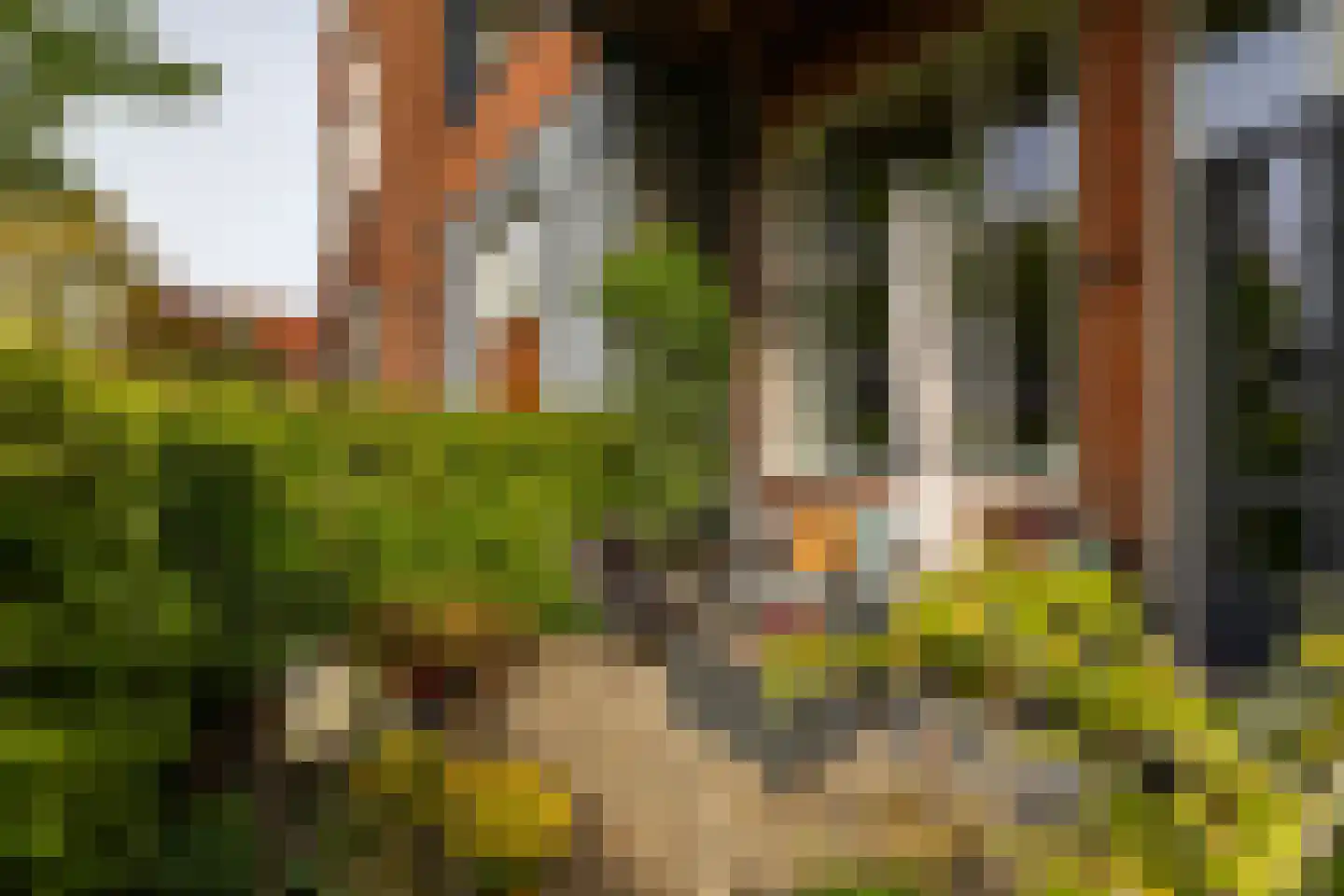 Tuinbouwdwarsstraat 11 c Groningen thumbnail 41