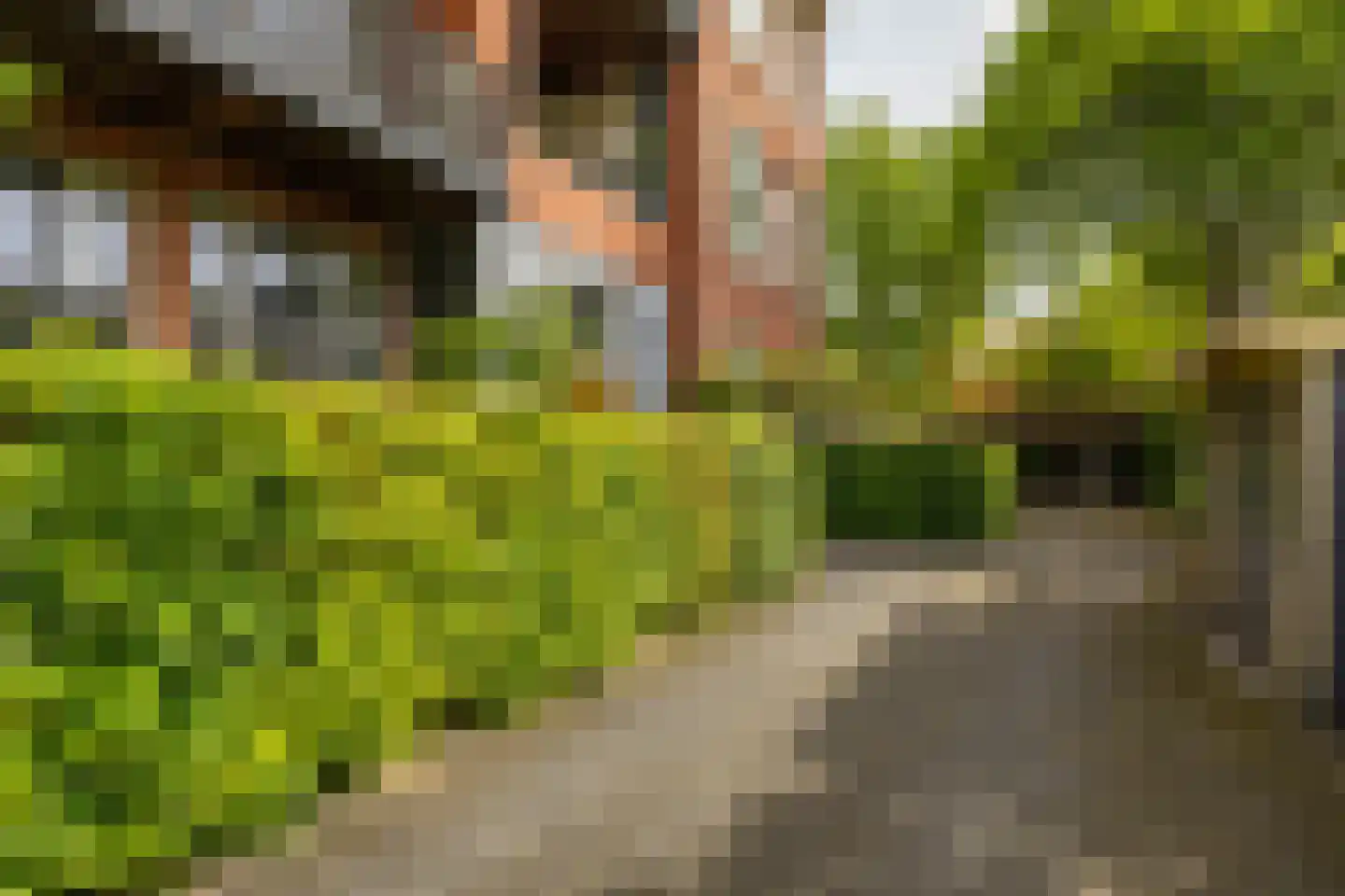Tuinbouwdwarsstraat 11 c Groningen thumbnail 43