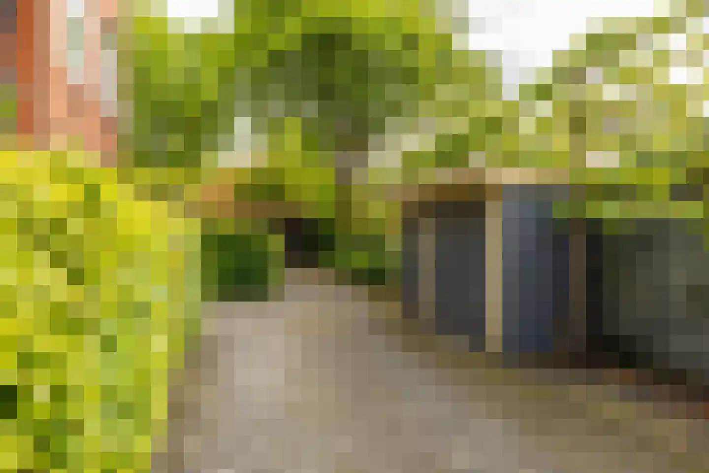 Tuinbouwdwarsstraat 11 c Groningen thumbnail 44