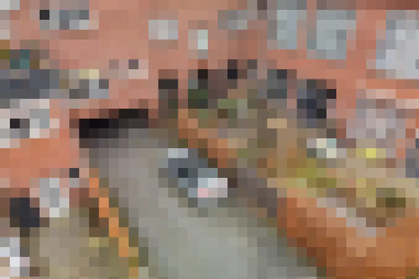 Tuinbouwdwarsstraat 15 a Groningen thumbnail 10