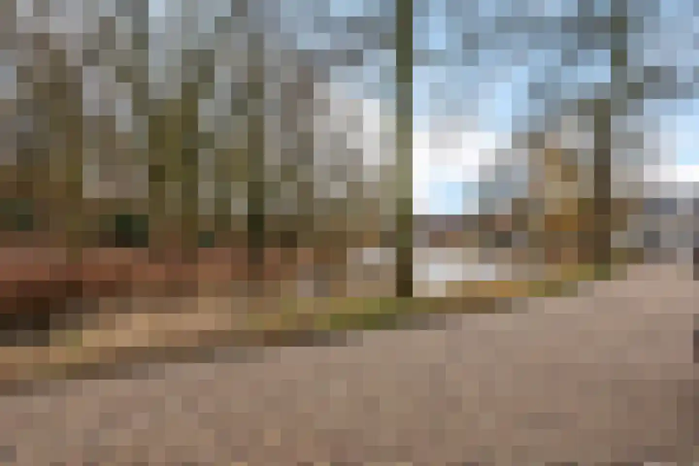 Tuinbouwdwarsstraat 15 a Groningen thumbnail 51