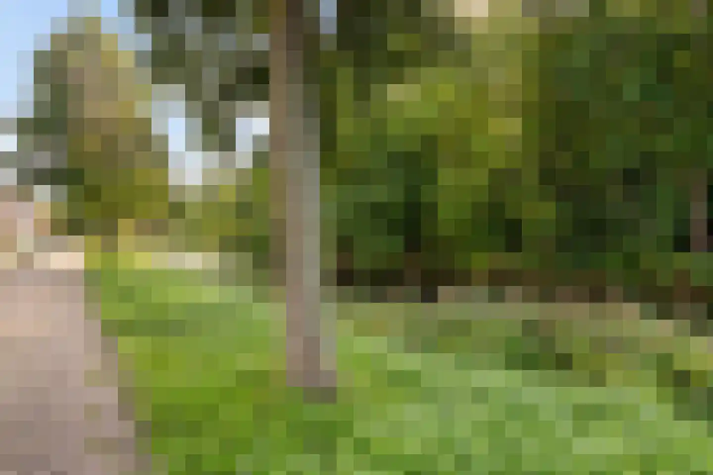 Tuinbouwdwarsstraat 18 Groningen thumbnail 22