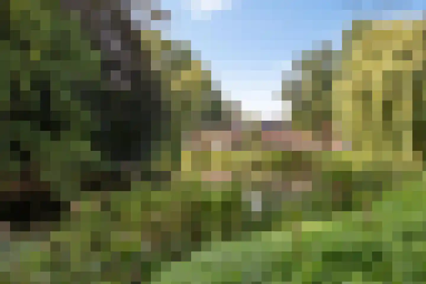 Tuinbouwdwarsstraat 18 Groningen thumbnail 23