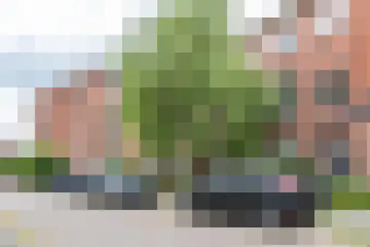 Tuinbouwdwarsstraat 7 Groningen thumbnail 34