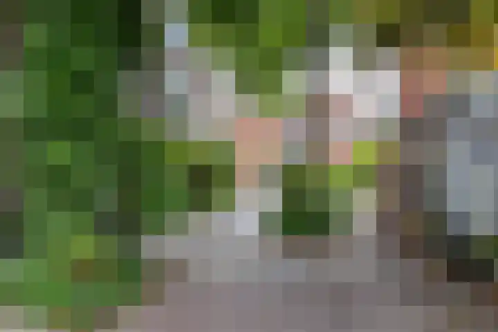Tuinbouwdwarsstraat 7 Groningen thumbnail 35