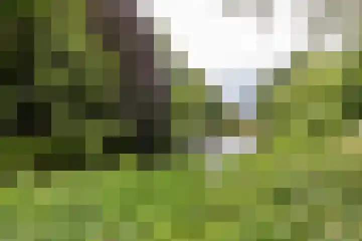 Tuinbouwdwarsstraat 7 Groningen thumbnail 36