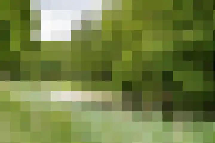 Tuinbouwdwarsstraat 7 Groningen thumbnail 5