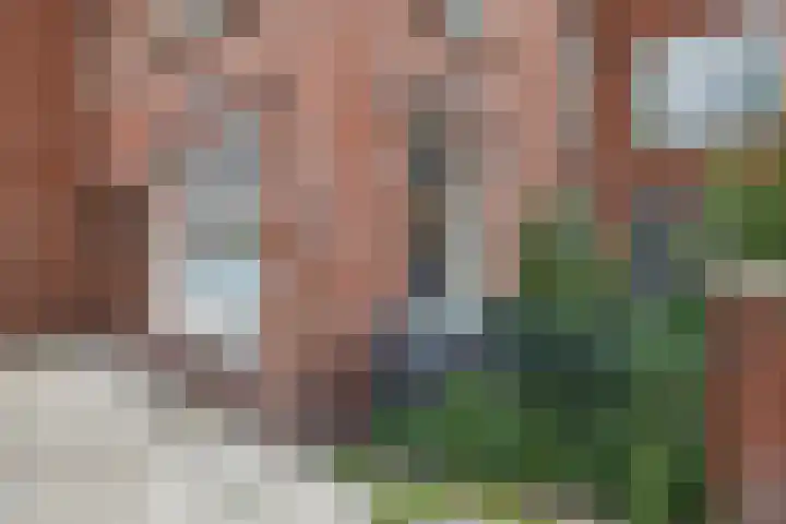 Tuinbouwdwarsstraat 7 Groningen thumbnail 8