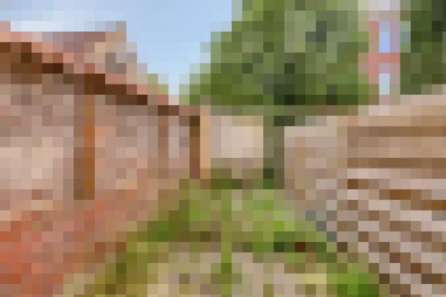 Tuinbouwdwarsstraat 9 Groningen thumbnail 12