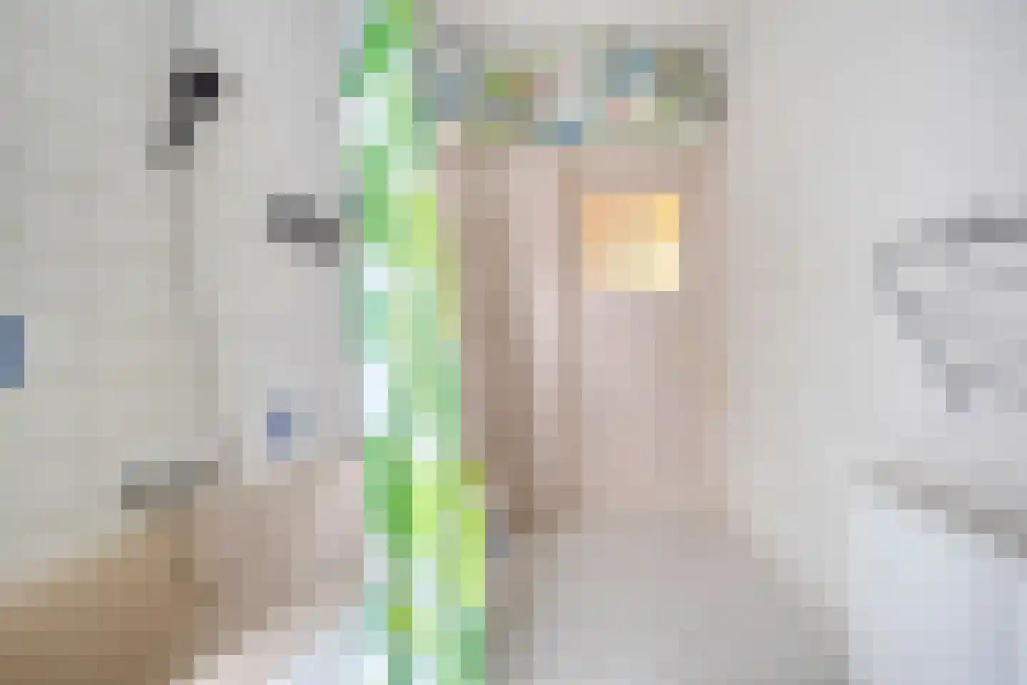 Tuinbouwdwarsstraat 9 Groningen thumbnail 23