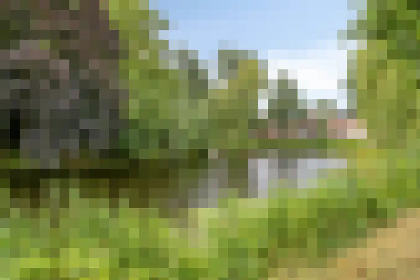Tuinbouwdwarsstraat 9 Groningen thumbnail 26