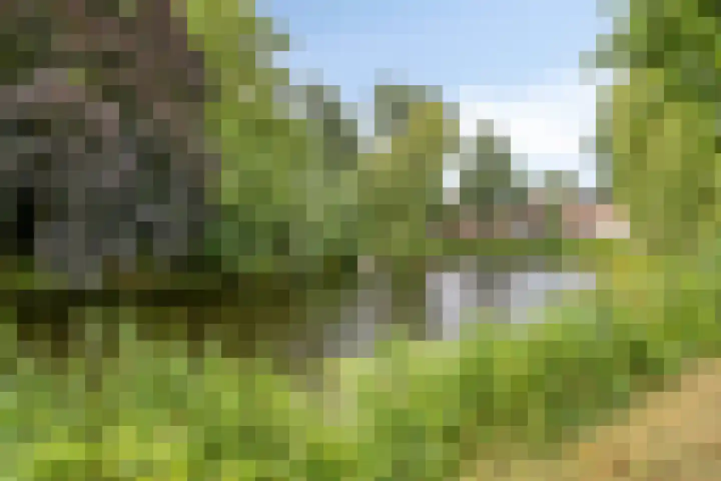 Tuinbouwdwarsstraat 9 Groningen thumbnail 26