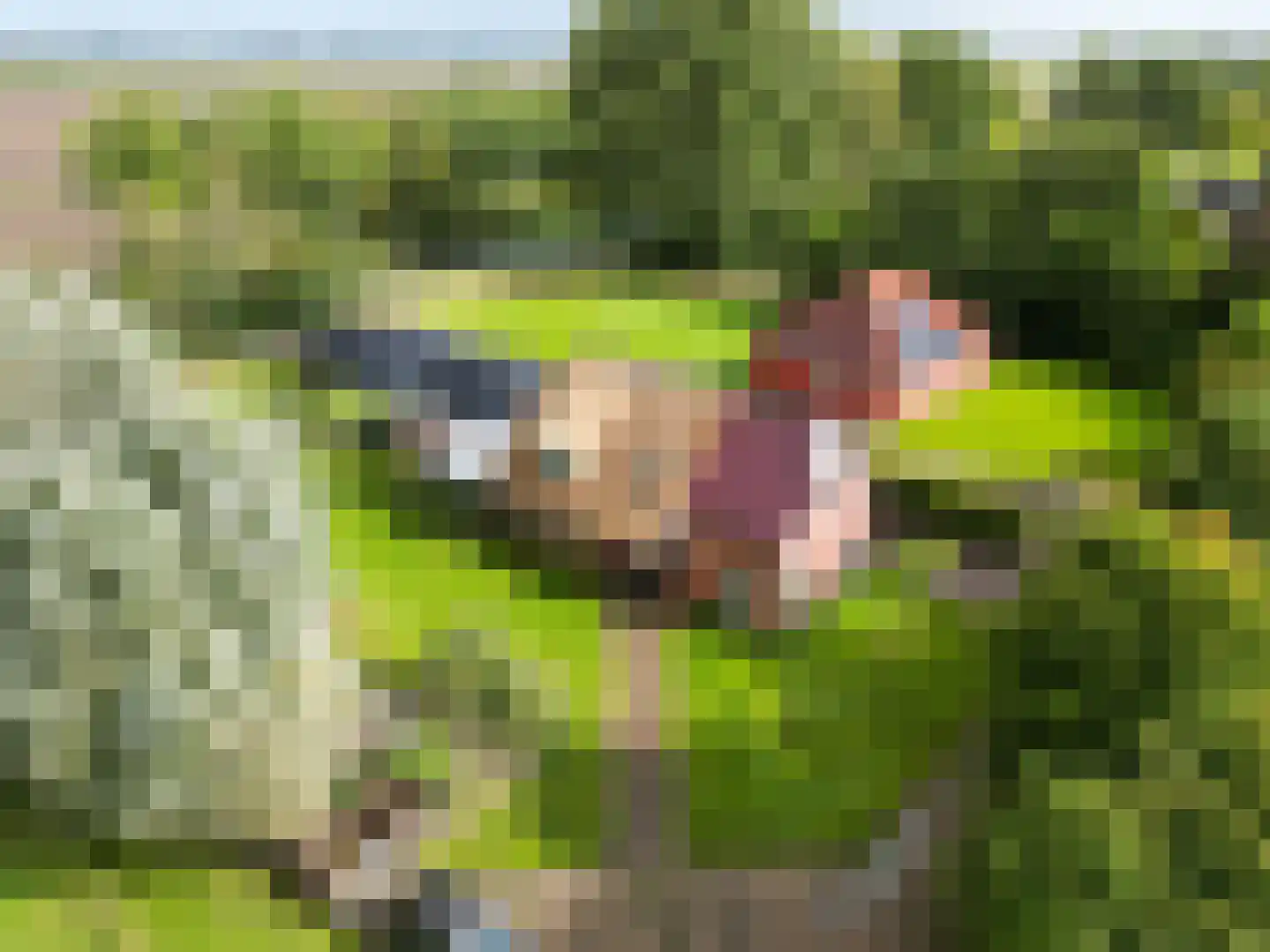 Tuinbouwpad 5 Usquert