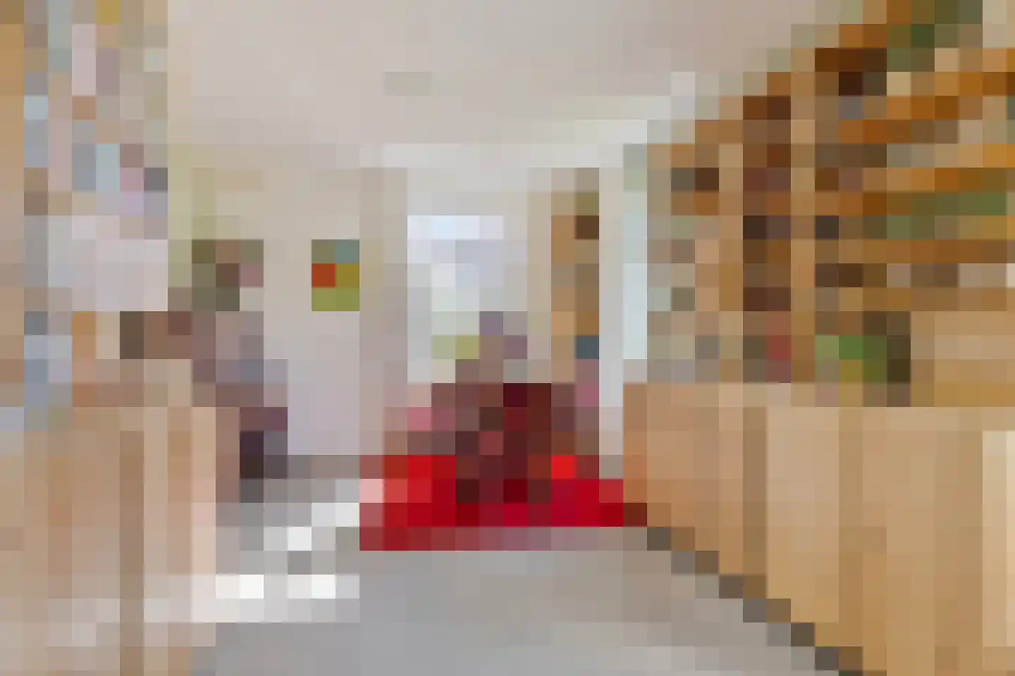 Tuinbouwpad 5 Usquert thumbnail 23
