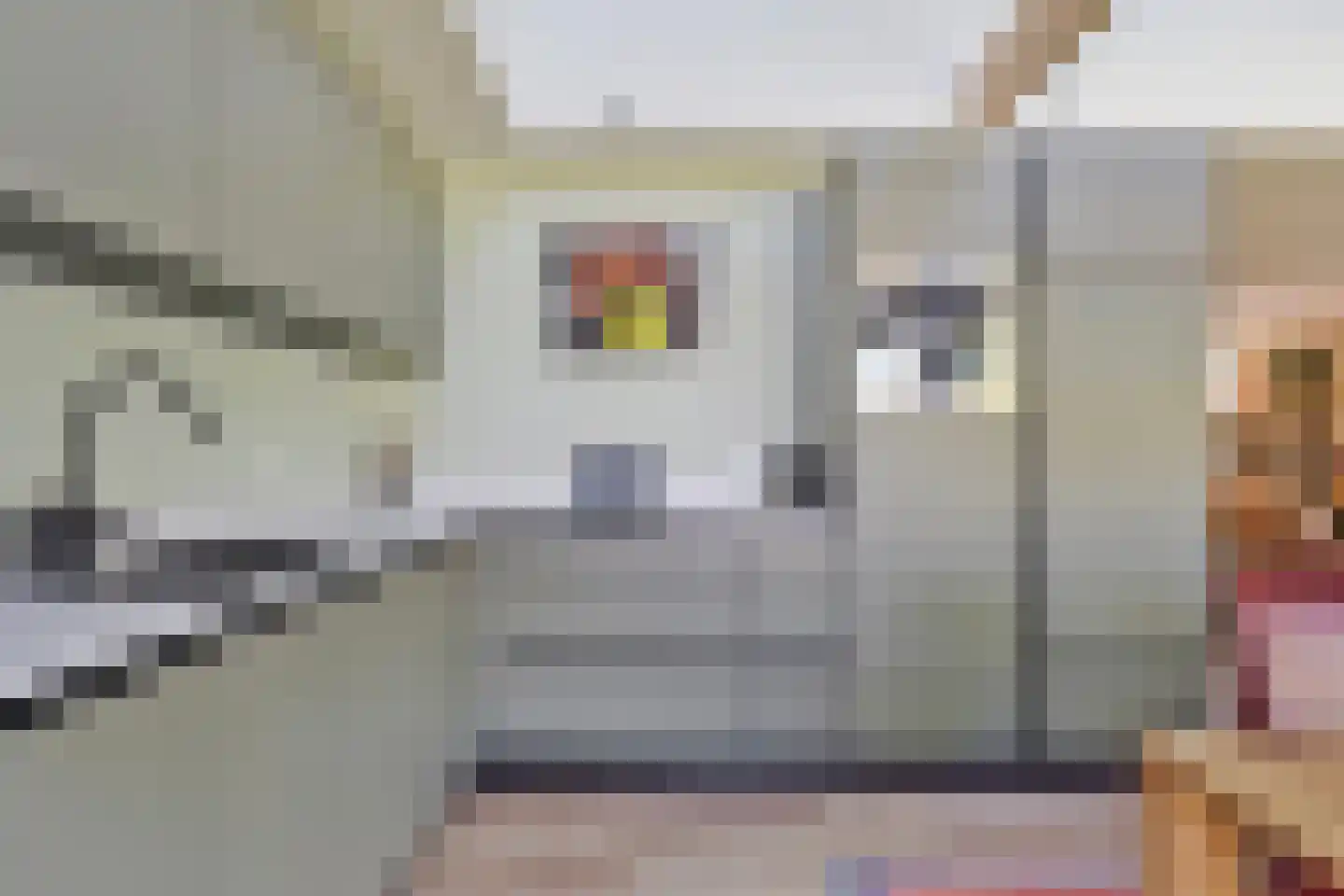 Tuinbouwpad 5 Usquert thumbnail 47
