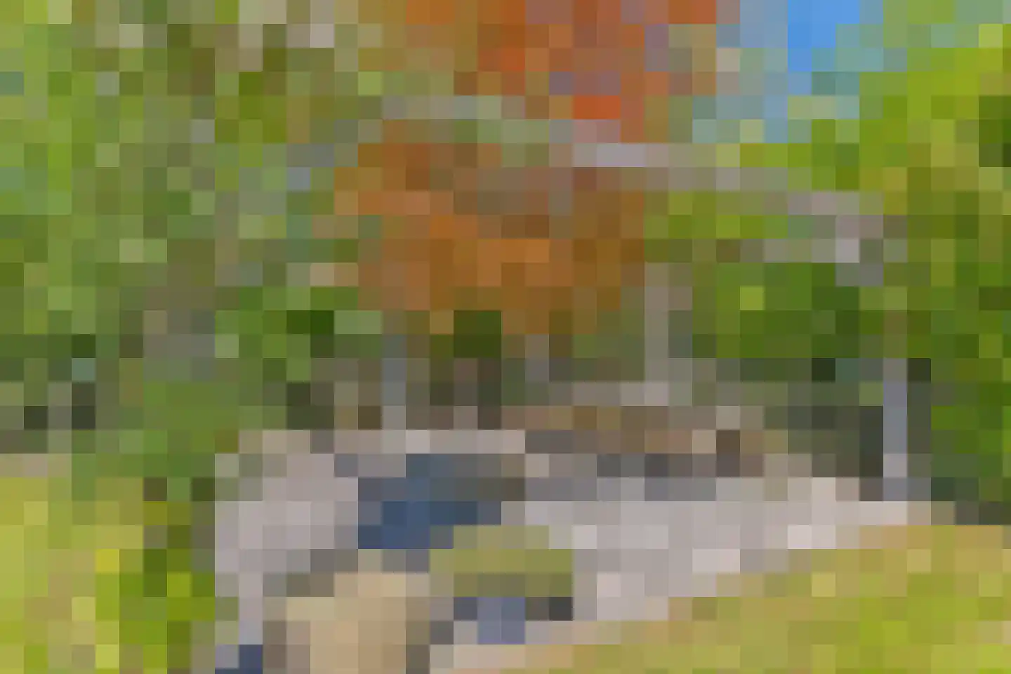 Tuinbouwpad 5 Usquert thumbnail 54