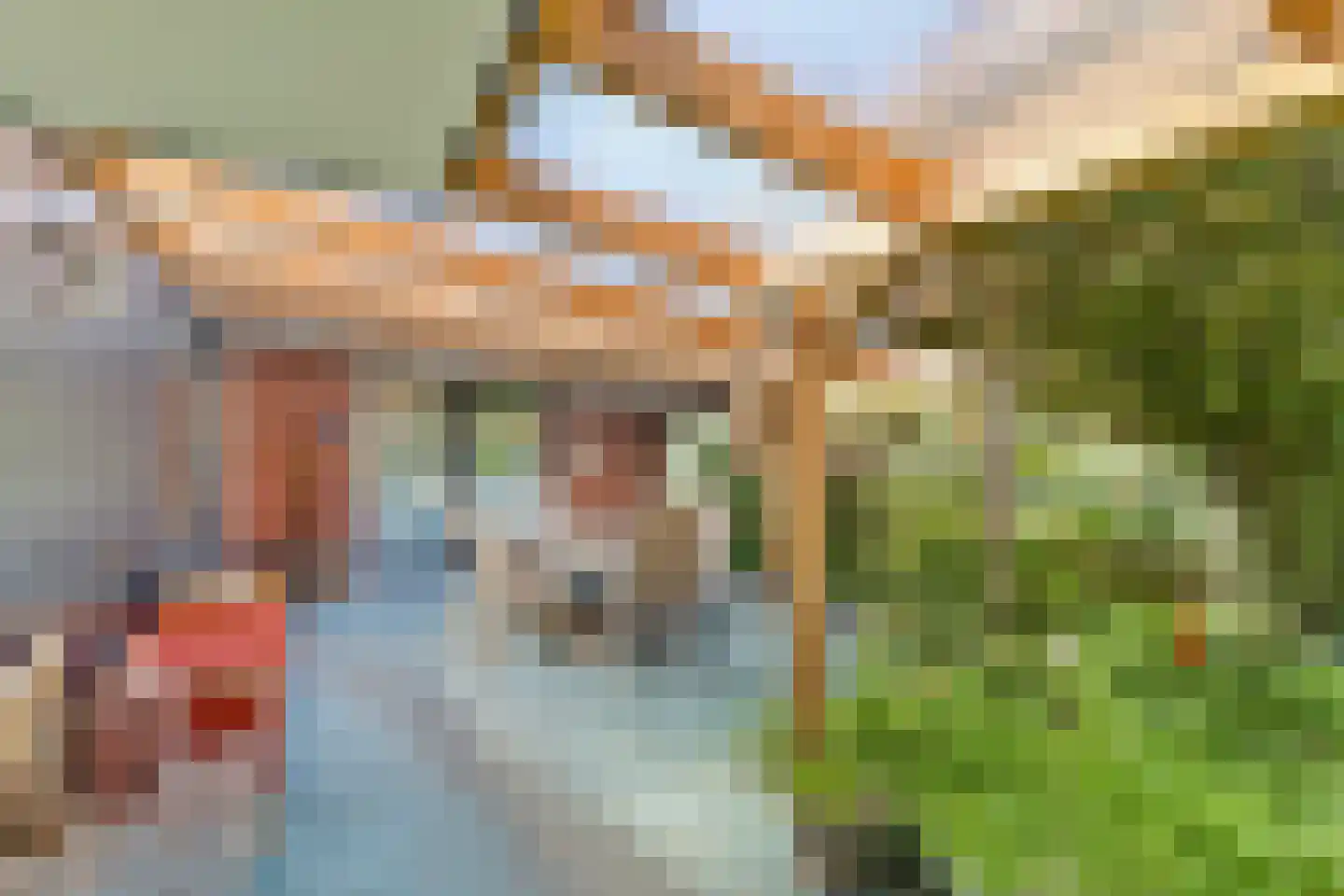 Tuinbouwpad 5 Usquert thumbnail 57