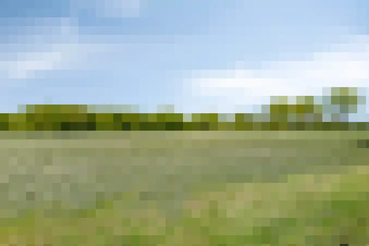 Tuinbouwpad 5 Usquert thumbnail 60