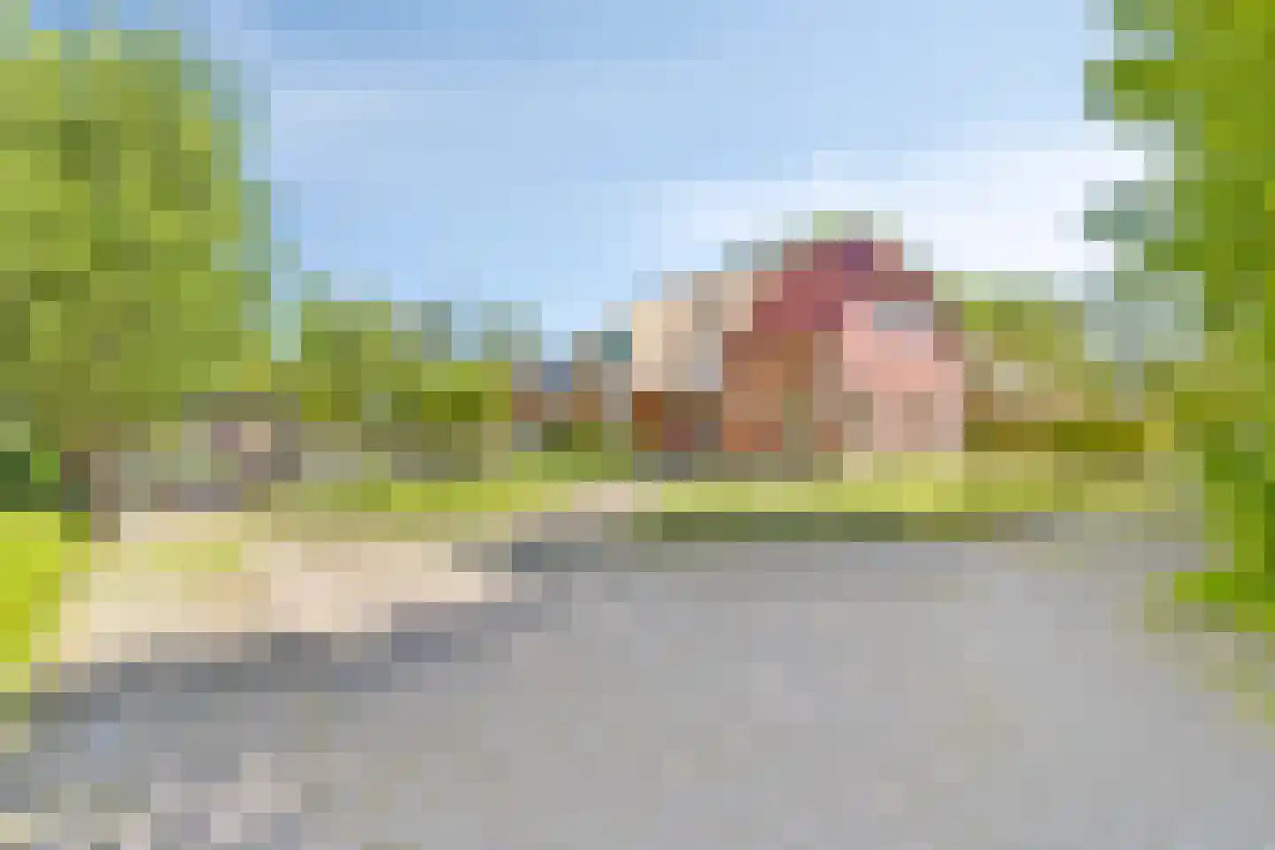 Tuinbouwpad 5 Usquert thumbnail 8