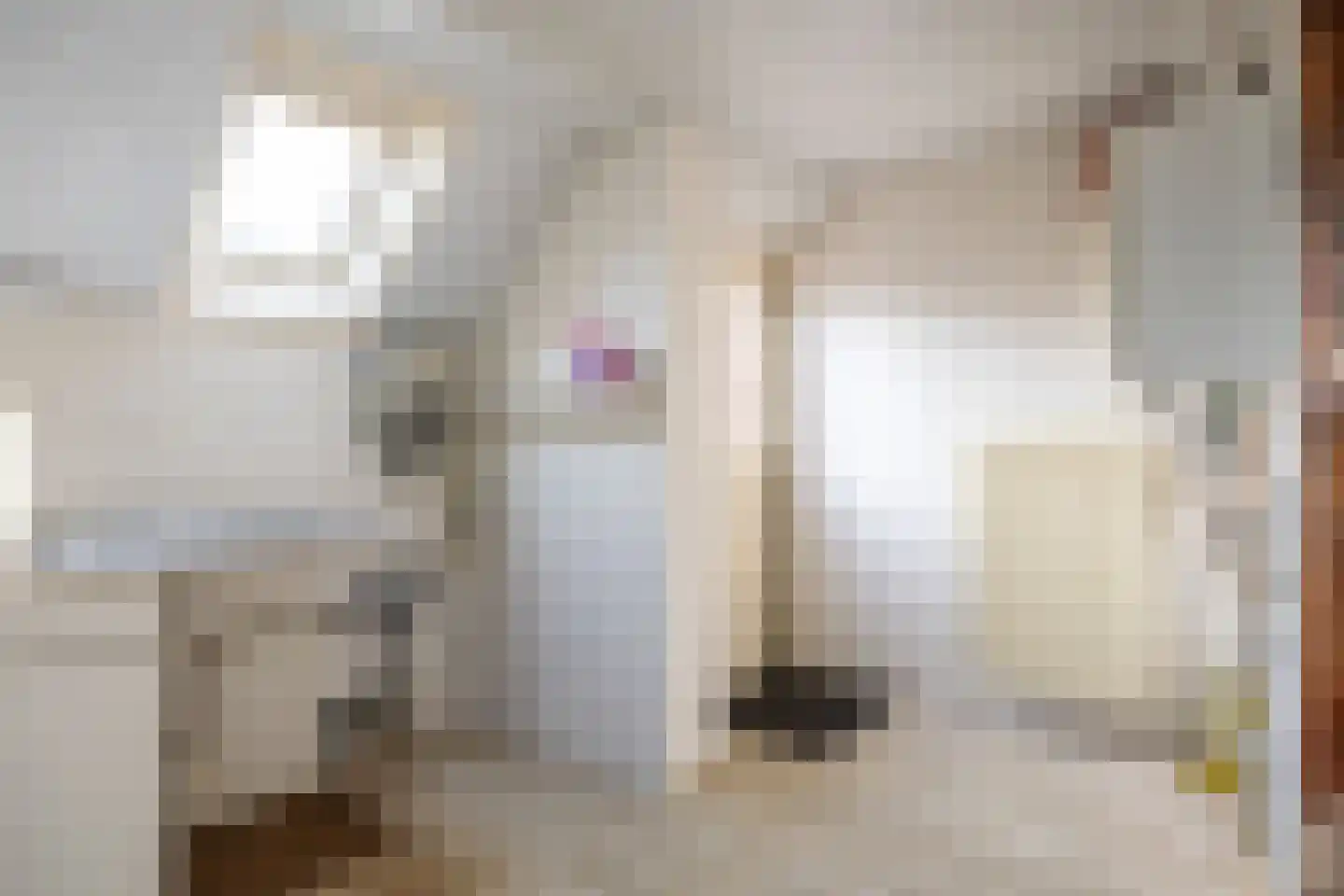 Tuinbouwstraat 1 Loppersum thumbnail 39