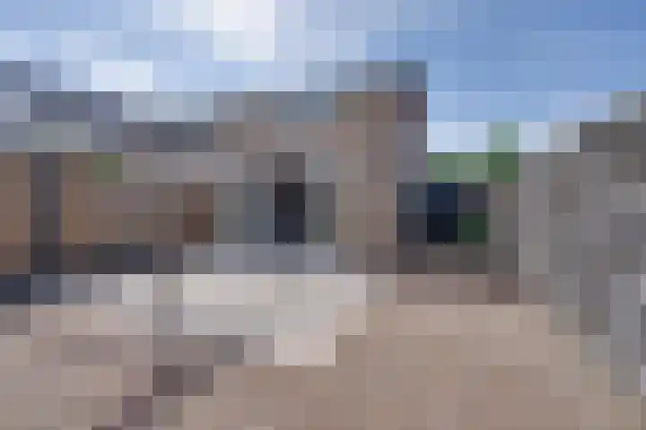 Tuinbouwstraat 1 Zuidoostbeemster thumbnail 16