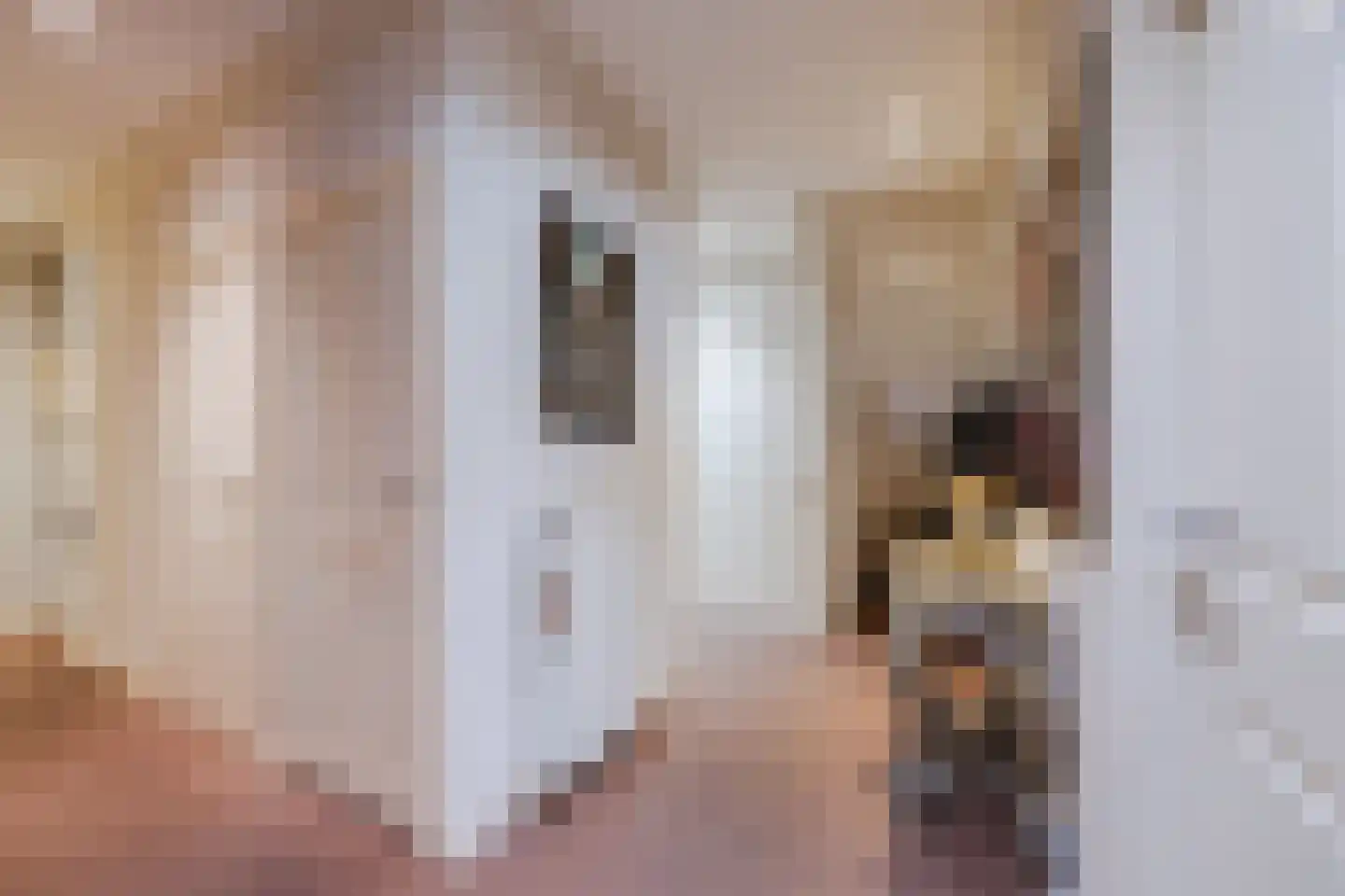 Tuinbouwstraat 11 Tilburg thumbnail 6