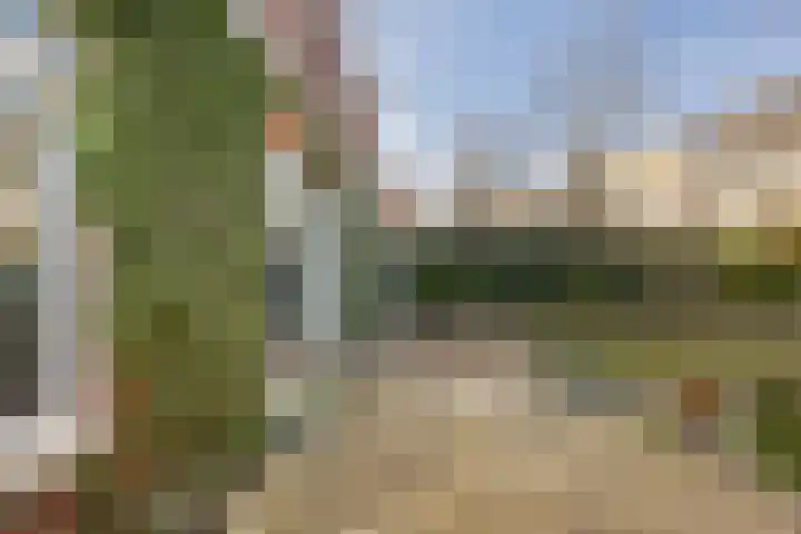 Tuinbouwstraat 115 Groningen thumbnail 36