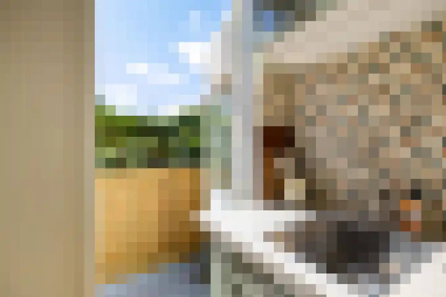 Tuinbouwstraat 120 a Groningen thumbnail 22