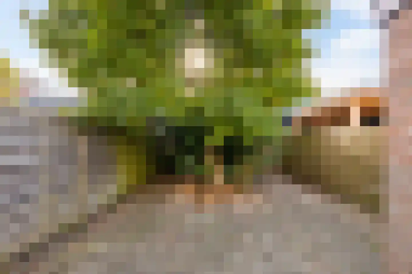 Tuinbouwstraat 128 Groningen thumbnail 29