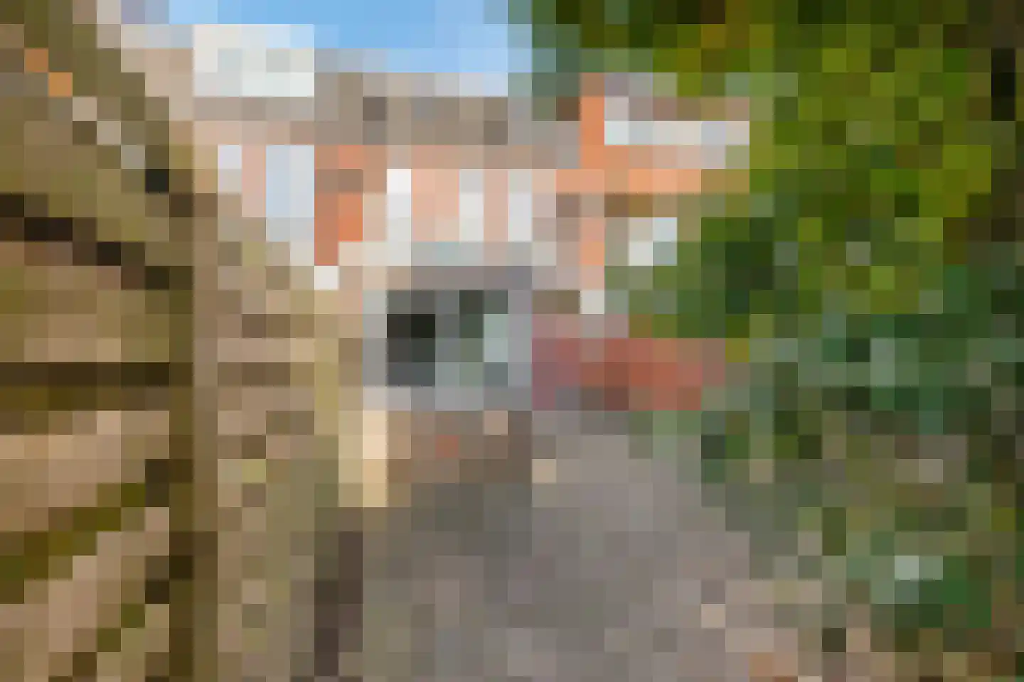 Tuinbouwstraat 128 Groningen thumbnail 30