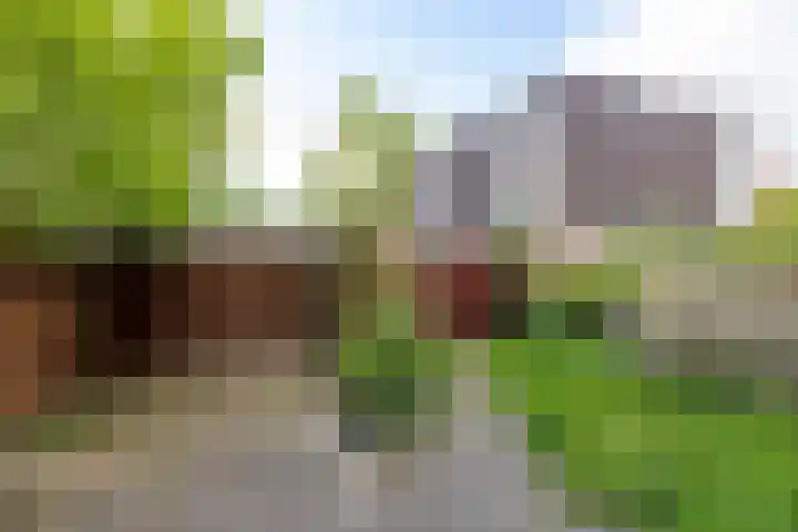 Tuinbouwstraat 152 Groningen thumbnail 9