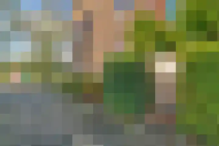 Tuinbouwstraat 156 Groningen thumbnail 21