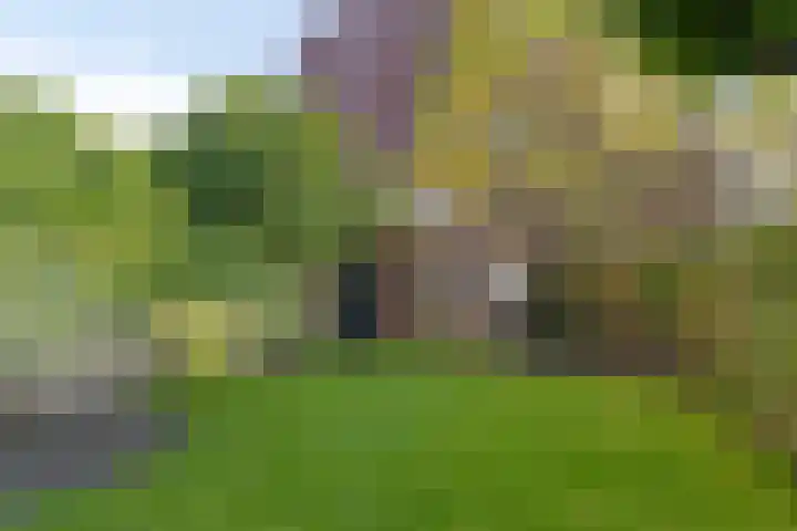 Tuinbouwstraat 156 Groningen thumbnail 22