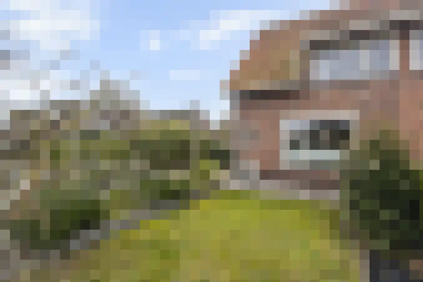 Tuinbouwstraat 24 Julianadorp thumbnail 24