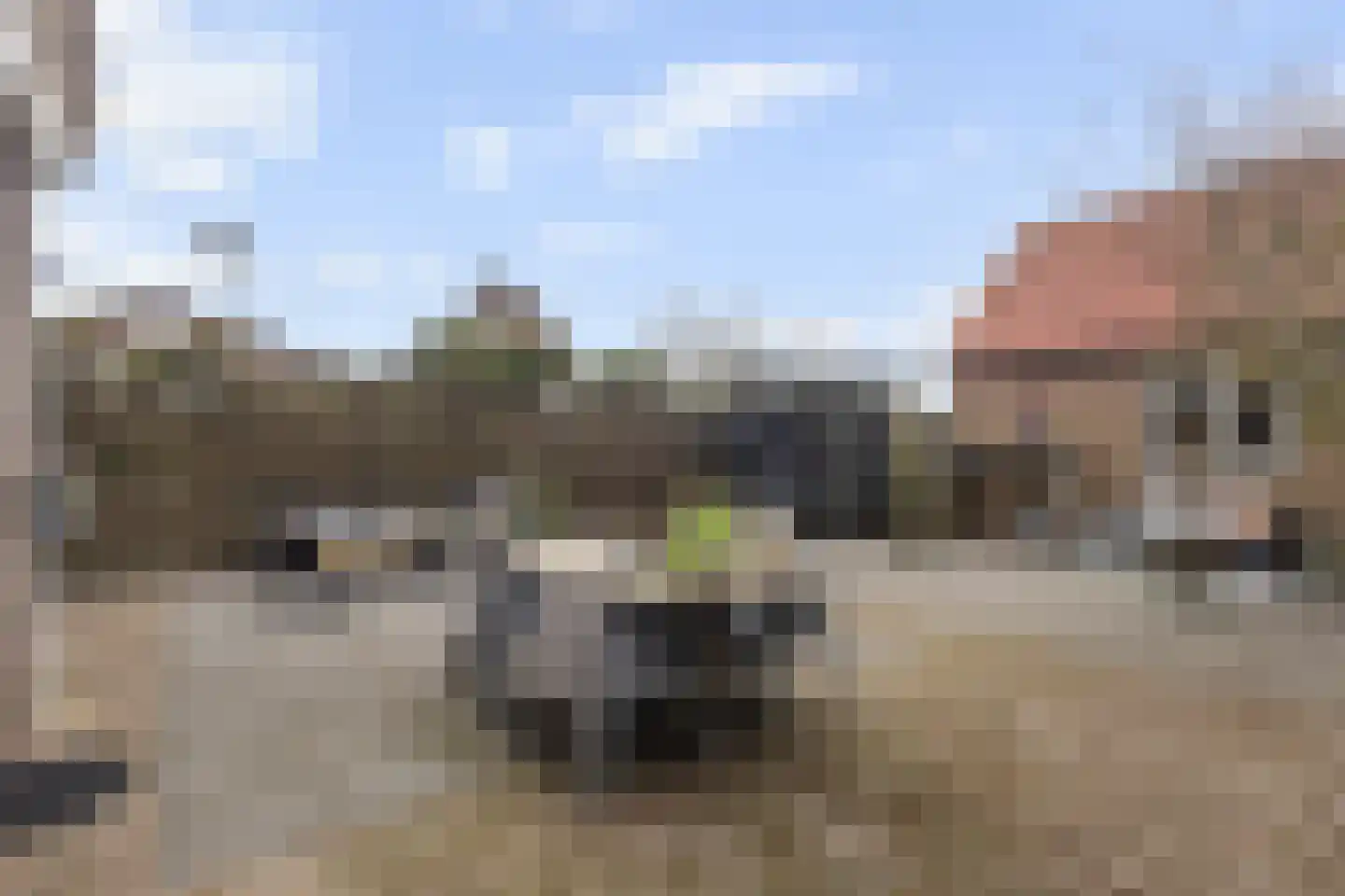 Tuinbouwstraat 24 Julianadorp thumbnail 25