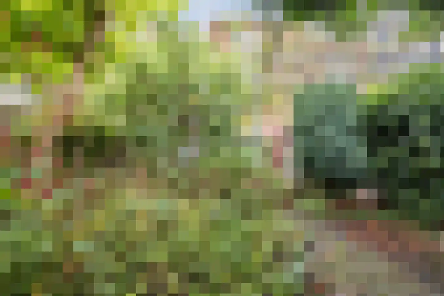 Tuinbouwstraat 26 Groningen thumbnail 25