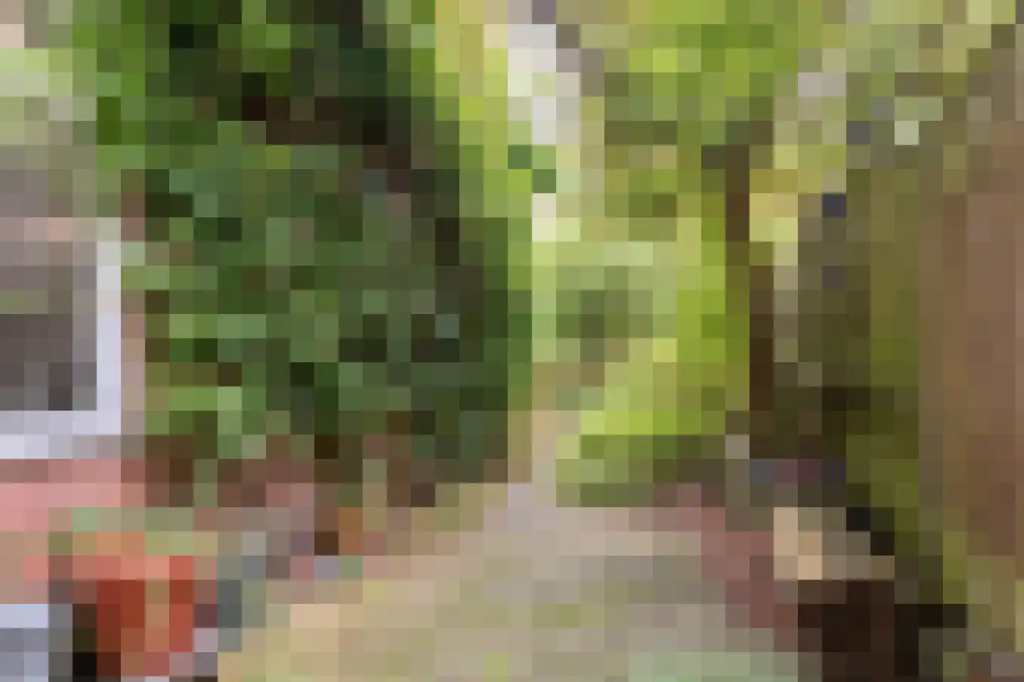 Tuinbouwstraat 26 Groningen thumbnail 4