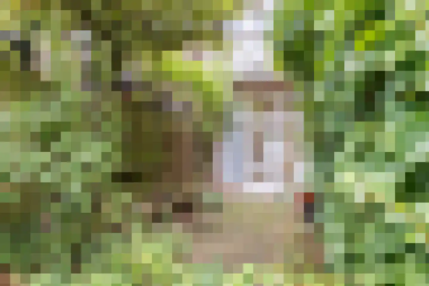 Tuinbouwstraat 26 Groningen thumbnail 5