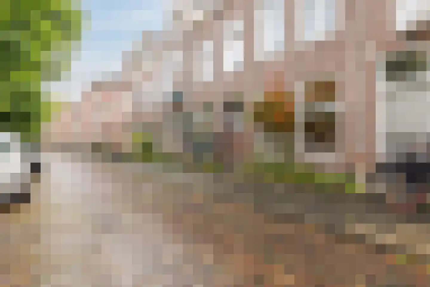 Tuinbouwstraat 26 Groningen thumbnail 6