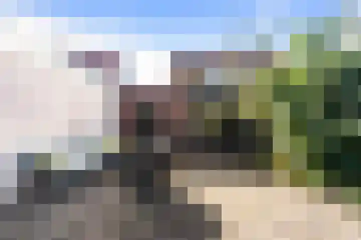 Tuinbouwstraat 3 Julianadorp thumbnail 27