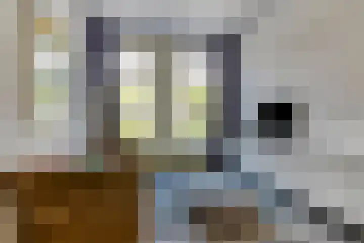 Tuinbouwstraat 34 Groningen thumbnail 12