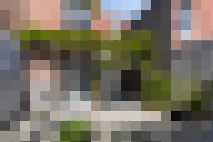 Tuinbouwstraat 34 Groningen thumbnail 31