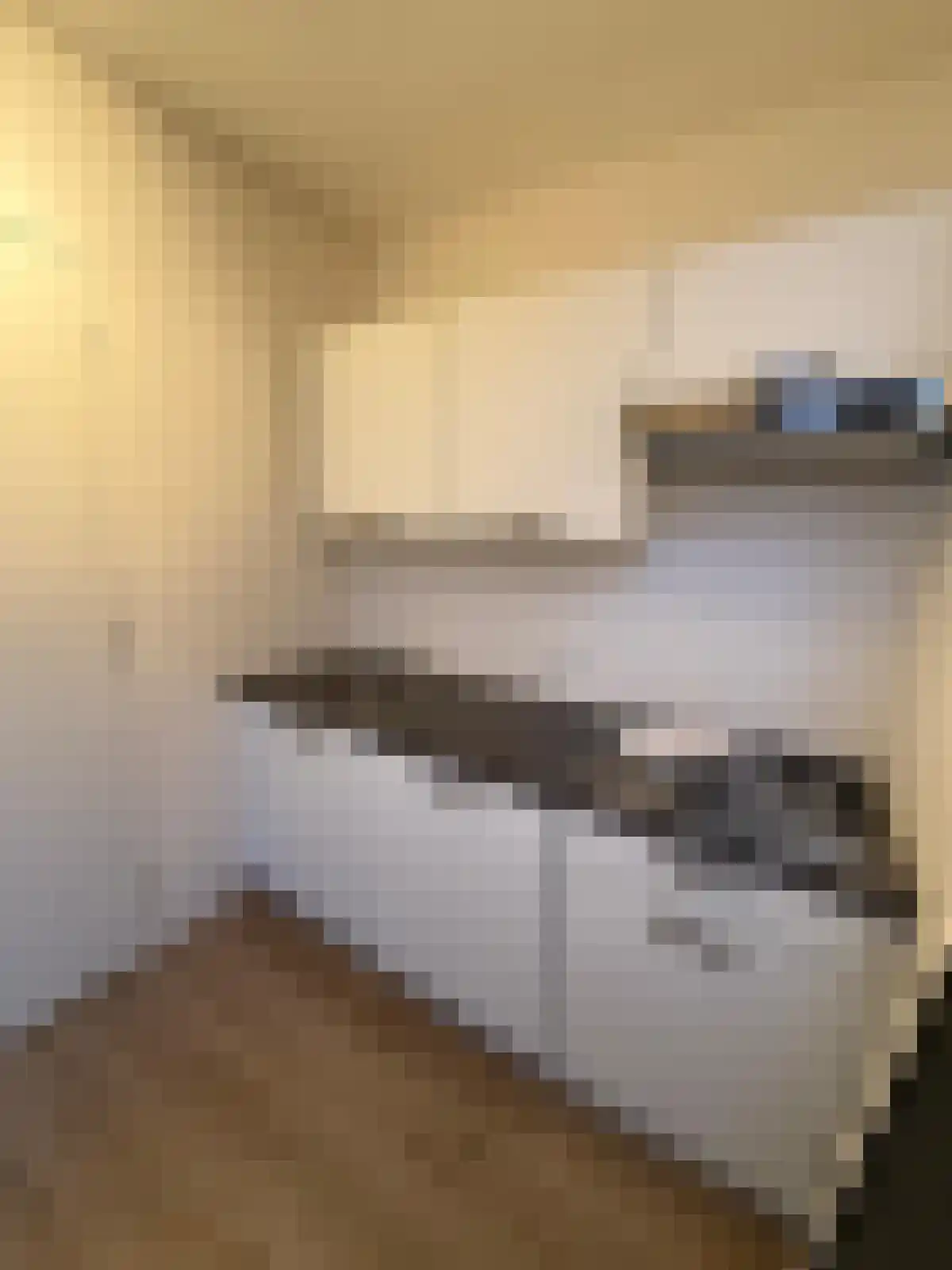 Tuinbouwstraat 43 Groningen thumbnail 4