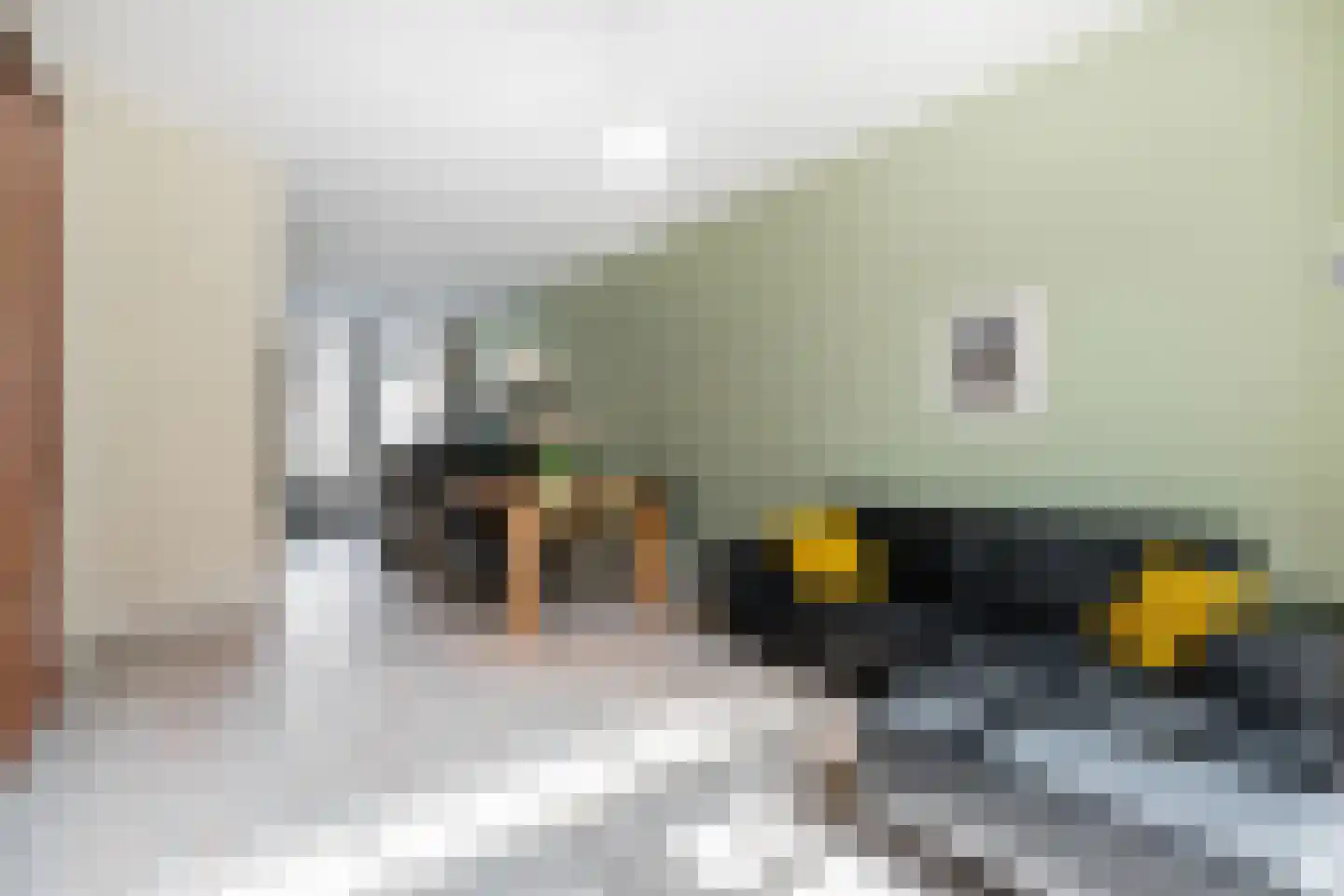 Tuinbouwstraat 52 Groningen thumbnail 15