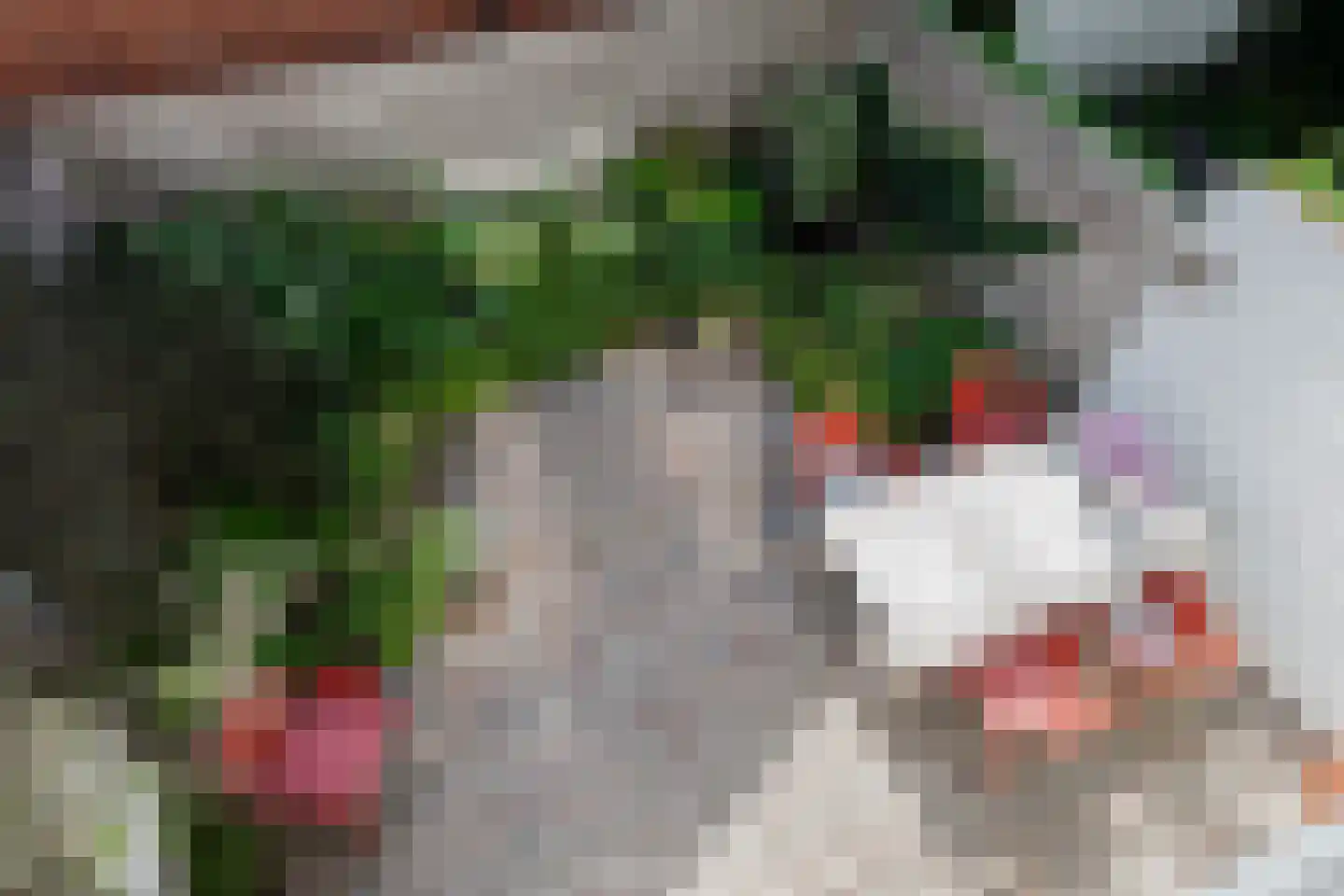 Tuinbouwstraat 52 Groningen thumbnail 35
