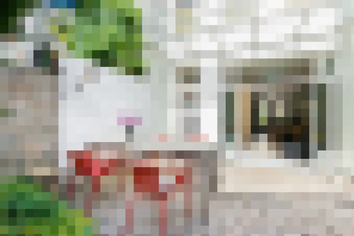 Tuinbouwstraat 52 Groningen thumbnail 36