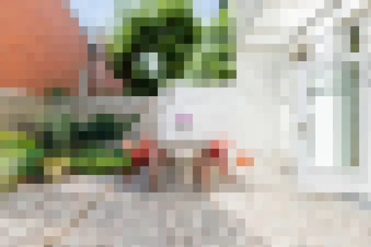 Tuinbouwstraat 52 Groningen thumbnail 47