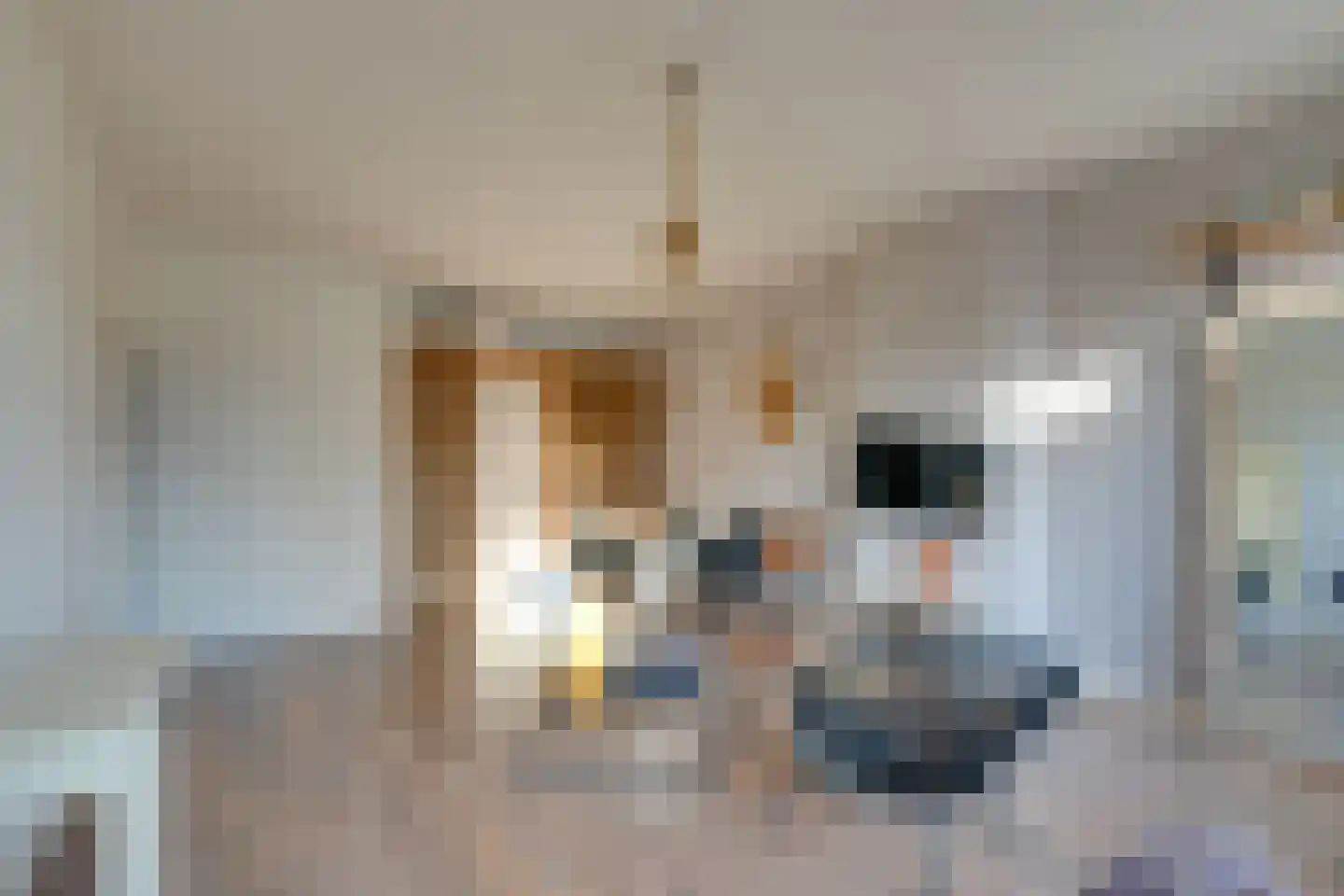 Tuinbouwstraat 56 Amsterdam thumbnail 18